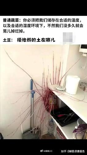 v2-87996b6f6f2fa1b8008f909c53cbd148_r