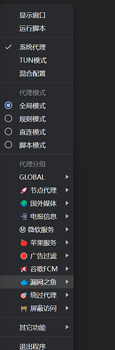 Snipaste_2024-04-14_21-12-42