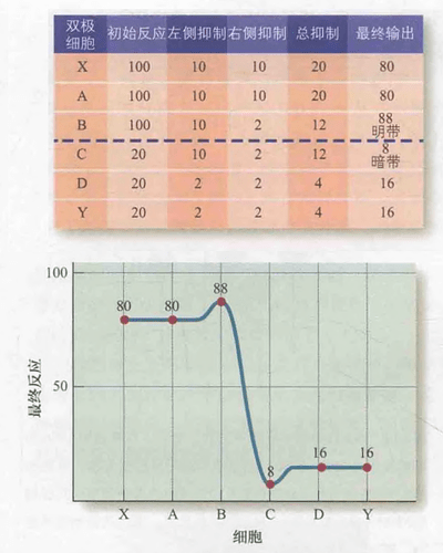 输出结果