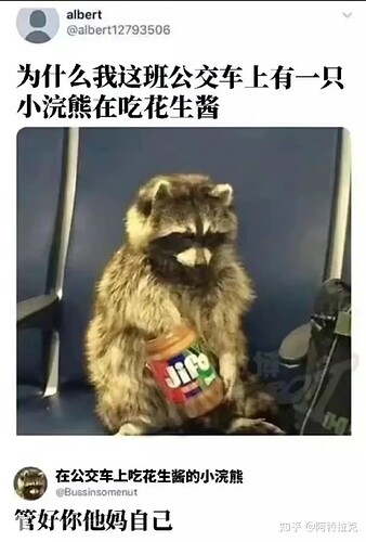 IMG_9565.PNG