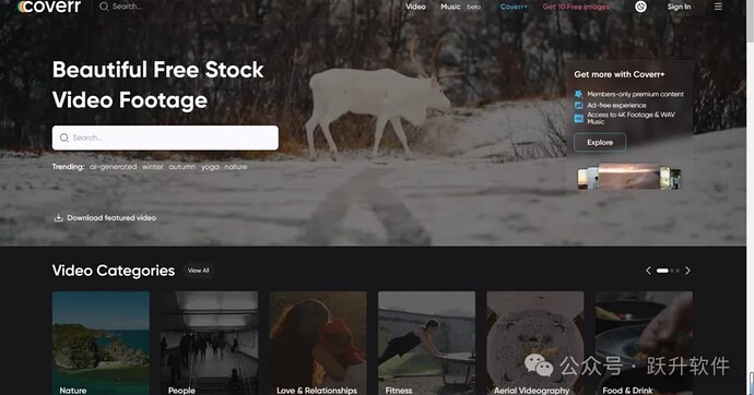 notion image