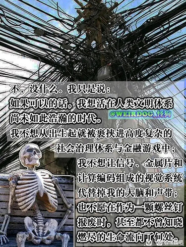 不如未来社会