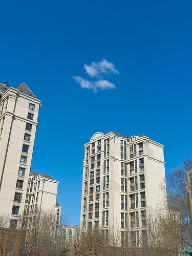 IMG20250317103045