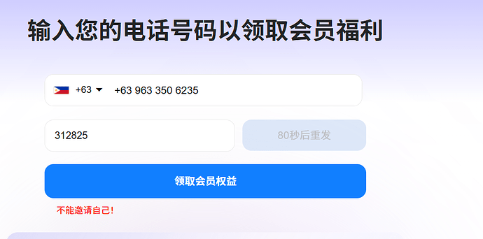 屏幕截图 2025-03-16 171821