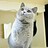 23q3