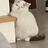 EatTheCat