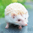Hedgehog
